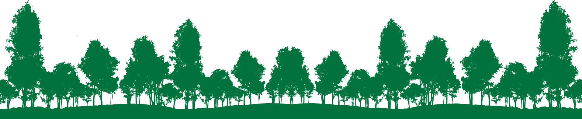 Silhouette of a row of green trees with various shapes and sizes against a white background. The trees form a dense, continuous line, with a subtle variation in height and width, creating a natural and serene atmosphere.